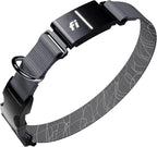 New Fi Series 3+ Smart Dog Tracker Collar [12 Month Membership Included] GPS Tracker for Dogs with Health & Behavior Monitoring, Escape Alerts, Waterproof, LED, Apple Watch Compatible (Gray, Large)