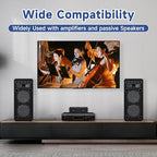 Y.D.F 2-Channel（1 in 2 Out） Speaker Selector Switcher Box with Terminal Claps 150W RMS per Channel High-Fidelity Audio Transmission