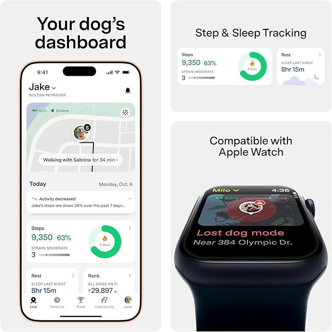New Fi Series 3+ Smart Dog Tracker Collar [12 Month Membership Included] GPS Tracker for Dogs with Health & Behavior Monitoring, Escape Alerts, Waterproof, LED, Apple Watch Compatible (Gray, Small)