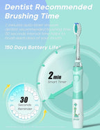 SEAGO Kids Electric Toothbrush with 2 Mins Brushing Timer and 4 Replacement Bursh Heads, Rainbow LED Light Make Brushing Fun, Green Color Boys Battery Powerd Toothbrush for 4-12 Years Old，SG-977