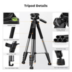 K&F CONCEPT Camera Tripod, 75" Lightweight Portable Travel Outdoor DSLR Tripods for Camera Phone Video Recording Tripod Stand, Cellphone Clip for Smartphone Live Streaming Vlog, Dark Grey