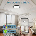 TOPELER Black Slim LED Surface Mount Ceiling Light, 9inch Dimmable Round Flat Panel Lights, 24W 2000Lm, 5CCT Selectable Low Profile Ceiling Light Fixtures for Hallway, Kitchen, Porch, 2 Pack