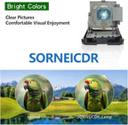 SORNEICDR BL-FU310B / 5811118436-SOT Replacement Projector Lamp Bulb Compatible with OPTOMA DH1014 DH1017 EH500 X600 Projectors, with Housing