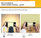 Hizashi Vintage LED Edison Bulb Dimmable, 6W Equivalent 60W, 2700k Warm White, E26 Base Led Light Bulbs, 700LM, High CRI 95+ Eye Protection, Clear Glass, Pack of 12