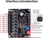 60W Voice Playback Module, PEMENOL DC 9-24V High Power Music Player Mp3 Trigger Amplifier 64Mbit Flash Storage Sound Board Support Sound and Light Alarm Present Electronics DIY