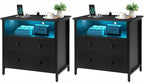 Tykacna 27 Inch Wide Night Stand, Large Wood Night Stand Set 2 with 2 Drawers, LED Nightstand with Charging Station and Adjustable Drawer, Bedside Table for Living Room/Bedroom/Study/Office, Black.
