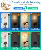 VIANIS 2 Pack Motion Sensor Outdoor Lights Lantern, Dusk to Dawn Exterior Lights for House, Gold Anti-Rust Porch Lights Sconce, Garage Lights Wall Mount for Patio, Doorway, UL Listed