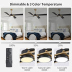 WINGBO 54 Inch Ceiling Fan with Light and Remote, 4 Plywood Blades, 6-Speed Reversible DC Motor, Dimmable, 3CCT, Farmhouse Ceiling Fan for Bedroom Living Room Kitchen, Brass and Black
