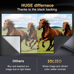2025 Upgraded Portable Projector Screen - Black Backing,Straight Edges, Foldable, Washable and Wrinkle-Free - for Indoor Home Theater and Outdoor Cinema - 200 inch White 16:9 by IOLIEO