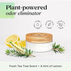 Azuna Air Freshener & Odor Eliminator for Strong Odor | 1 Room Kit Includes (1) Empty Luxe Glass Jar & 8oz Refill with Tea Tree Essential Oil Gel | Natural Scent | Last 60-90 Days