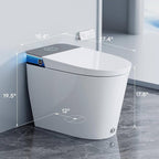 HOROW Artistic Bidet Toilet, Smart Toilet with ADA Chair Height, MAP 1000g Powerful Flush, Auto Open/Close Lid, Instant Warm Water, Elongated Heated Seat, Deodorization