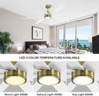 WINGBO 60" Large DC Ceiling Fans with Lights and Remote, 3 Downrods, 8 Plywood Blades, 6-Speeds Reversible DC Motor, 3CCT, Indoor Ceiling Fan for Bedroom Living Room Patio, Brass and White