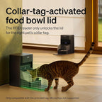 PETLIBRO RFID Cat Feeders for 2 Cats, Collar Sensor for Personalized Meals, Cats Recognition, Diet Tracking and Anti-Stealing for Multi-Pets Homes and Different Diets, Automatic Pet Feeder (Pack of 2)