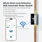Frizzlife LP365-P 1.25-Inch Smart Water Monitor and Automatic Shutoff - 0.01GPM Ultrasonic Micro Leak Detection, APP Wi-Fi Remote Control,Pressure+Flow Monitoring, for 1-1/4-Inch Diameter Pipe