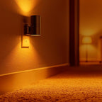Briignite Night Lights Plug into Wall, Modern LED Night Light Plug in, Dusk to Dawn Sensor,Amber Night Light 0-100LM Adjustable Brightness, Dimmable NightLight for Hallway, Bedroom, Stairway, 2 Pack