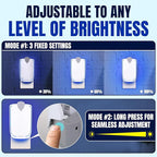 Zaperly 1 Fruit Fly Trap & 5 Adhesive Cartridges, Indoor Plug-in Bug Catcher, UV Light Fly Trap Captures Fruit Flies, Gnats, Houseflies, Moths, and Flying Insects for Kitchen, Bathroom, Plant Areas