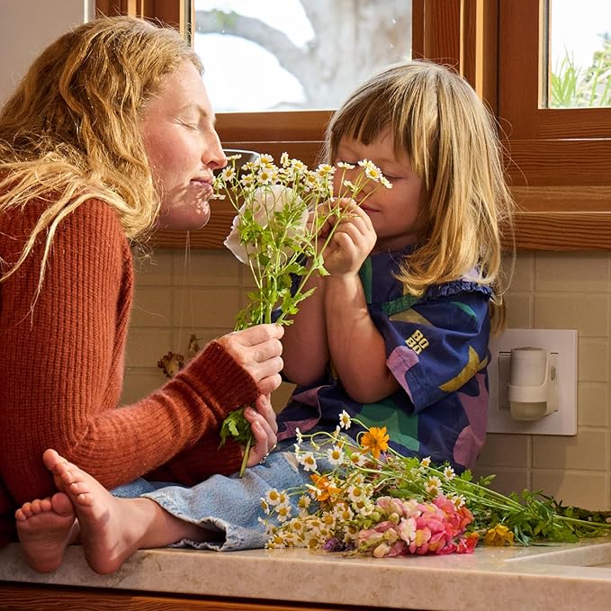 MRS. MEYER'S CLEAN DAY Scented Oil Refills, Compassion Flower, contains 4 .67 fl oz refills