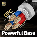 TODN RCA Cables Audiophile Male to Male Stereo Shielded HiFi OFC RCA Cable for Car Audio, Sub, Amp, Phono (3ft/1m, 1 Pair)