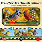 Dzees Window Bird Camera with Strong Suction Cups, 2K HD WiFi Bird Feeder Camera with AI Bird Recognition, Live Streaming, Two-Way Audio, Cloud & SD Storage, Perfect for Bird Lovers and Educators