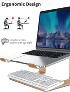 SOUNDANCE Laptop Stand, Aluminum Computer Riser, Ergonomic Laptops Elevator for Desk, Metal Holder Compatible with 10 to 15.6 Inches Notebook Computer, Champagne Gold