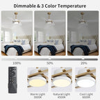 WINGBO 54 Inch Ceiling Fan with Light and Remote, 4 Plywood Blades, 6-Speed Reversible DC Motor, Dimmable, 3CCT, Farmhouse Ceiling Fan for Bedroom Living Room Kitchen, Brass and White
