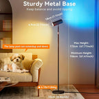 SIBRILLE Spotlight Floor Lamp, Tall LED Standing Lamp with Remote/Touch Control, 2700K-6500K, 350°Rotating Head Standing Lamp, Reading Floor Lamp for Living Room, Bedroom, Office & Wall Art, Black RGB