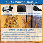 30V 0.8A LED Controller with Extension Cord, Replacement Model JC-DC300V0800-G1 Class 2 Power Supply IP44 Low Voltage Transformer for Christmas Light