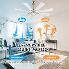 ELEHINSER 60 Inch Ceiling Fan with Lights and Remote Control, 8 Plywood Blades, 6-Speed Noiseless Reversible DC Motor, 3CCT, Windmill Ceiling fan for Kitchen Bedroom Living Room, Brass and White