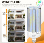 XYCN 2 Pack 300W Corn LED Light Bulb Fanless,5000K Daylight(3000 Watt Equivalent) E26/E39 Large Mogul Base LED Cob Lamp 44,000LM for Outdoor Indoor Garage Warehouse Factory Workshop Street Backyard