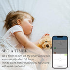 SMAAIR Smart Ceiling Fan with Light, 60inch Indoor and Outdoor ceiling fan with Remote, Compatible with Alexa/Google Assistant/Siri Shortcut, App control with Timer and Schedule(White)