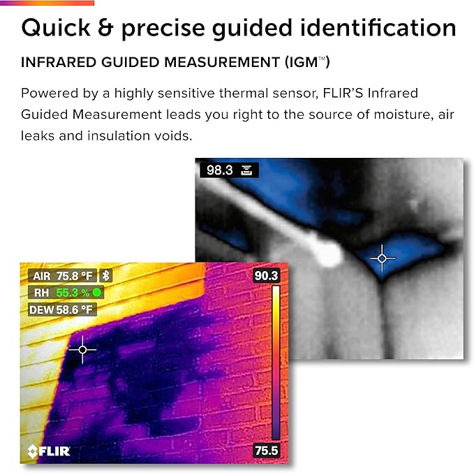 FLIR MR277 Moisture Meter, MSX IR Camera & Hygrometer for Building Inspection