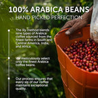 illy Whole Bean Coffee, Classico Medium & Decaffeinated Roasts, 100% Arabica, Premium Italian Coffee, Ideal for Espresso, Drip, Moka and French Press Brewing, 8.8oz, 6 Variety Pack