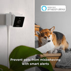 Petcube Cam Indoor Home Security Camera with 1080p HD Video, Two-Way Audio, Motion Detection, and Phone App, Night Vision Wi-Fi Camera for Apartment Security, Video Baby Monitor, Pet Camera (2pack)