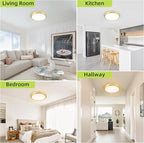 hykolity 2 Pack 9 Inch Selectable CCT LED Round Flat Panel Light, 18W 1800LM 3000K/4000K/5000K, Edge-Lit Flush Mount Ceiling Light Fixture for Kitchen, Bedroom, Laundry and Closet Room，Gold