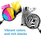 HP 65 Tri-Color Ink Cartridge | Works with AMP 100, DeskJet 2600, 3700; Envy 5000 | Eligible for Instant Ink | N9K01AN