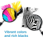 HP 910 Magenta Ink Cartridge | Works with OfficeJet 8010, 8020, Pro 8020, 8030 | Eligible for Instant Ink | 3YL59AN