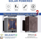 Delicavy 2 Pack Solar Outdoor Wall Lights with 3-Mode Motion Sensor Outside Sconces Up Down Solar Porch Light Fixtures 3000K 500LM Dusk to Dawn Modern Exterior Wall Lamp for House Garage Front Door