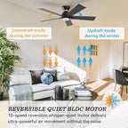 SMAAIR 52 Inch Smart Ceiling Fan with Light and Remote, Flush Mount Modern Ceiling Fan with lights,Compatible with Alexa/Google Assistant/Siri,Timer and Schedule,10 Speed DC Motor,Black