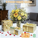 litogo 3 Pack Fairy Lights Battery Operated with Timer, 33FT 100LED Twinkle String Lights USB-C Powered 8 Modes Dimmable for Indoor Bedroom Centerpiece Wedding Classroom Dorm Christmas Decorations