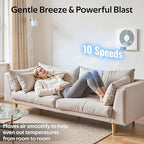 Windigaga 8" Room to Room Fan with Remote, 320CFM Through Wall Air Transfer Fan with Temperature Control, Reversible Airflow Design, 10 Speeds, Quiet Balance Exhaust Vent for Bedroom, Laundry,Kitchen