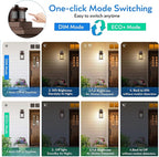 VIANIS Exterior Light Fixture with Motion Sensor, 2 Packs Oil Rubbed Bronze Dusk to Dawn Outdoor Porch Lights Wall Mount, Anti-Rust Aluminum Wall Lanterns with Tempered Glass for Garage Entrance
