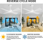 WINGBO 54" Wet Rated Outdoor Ceiling Fan with Lights, 4 ABS Plastic Blades, Reversible DC Motor, 6-Speed Remote Control, 3 CCT, Waterproof Ceiling Fan for Patio Porch Gazebo Garage, Gloss White