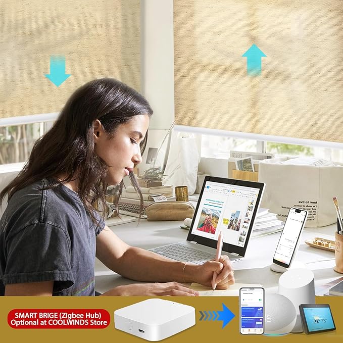 COOLWINDS Motorized Blinds with Remote Cordless Automatic Motorized Shades Custom Blinds for Windows Smart Curtains Compatible with Alexa Google Home(Light Filtering Linen Soft Dunes,W25 x H72in)