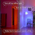 LIFX Starter Kit, (2) Smart Color 800 Lumen Bulbs, (1) Smart Switch (White) Compatible with Alexa and Google Home