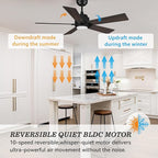 SMAAIR Smart Ceiling Fan with Light, 48inch Indoor and Outdoor ceiling fan with Remote, Compatible with Alexa/Google Assistant/Siri Shortcut, App control with Timer and Schedule(Walnut/Light Wood)