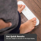 Greater Goods AccuCheck Digital Scale for Body Weight - Accurate Digital Bathroom Scale with High-Precision Sensors, Large Easy-to-Read Backlit Display, 400 lb Capacity, Auto Step-On (Clear)