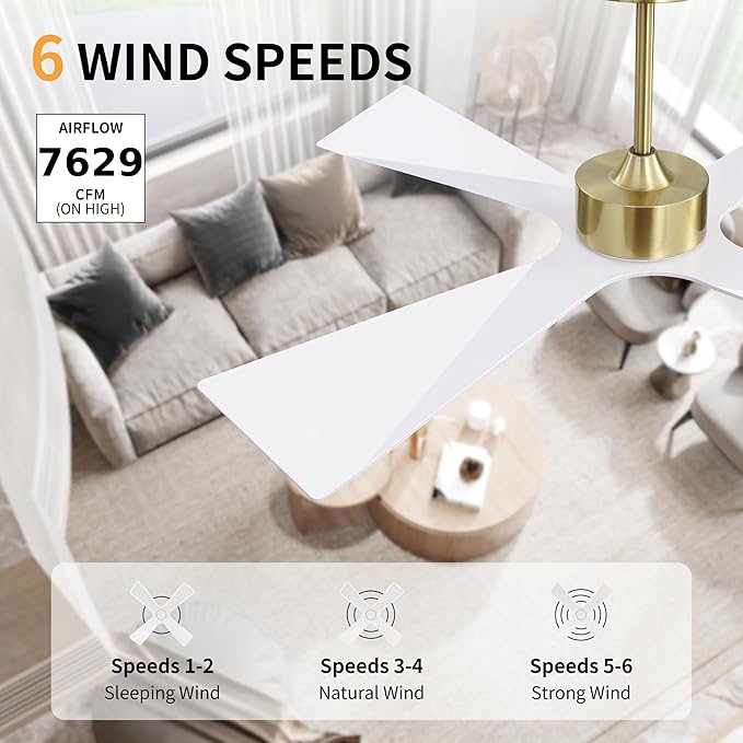 WINGBO 64" Wet Rated Outdoor Ceiling Fan with Lights, 4 ABS Plastic Blades, Reversible DC Motor, 6-Speed Remote Control, 3 CCT, Waterproof Ceiling Fan for Patio Porch Gazebo Garage, Gloss White