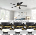 WINGBO 48" DC Flush Mount Ceiling Fan with Lights, 5 Plywood Blades, 6-Speed Reversible DC Motor, 3CCT, Low Profile Hugger Ceiling Fan for Living Room Bedroom Kitchen, Black and Brass