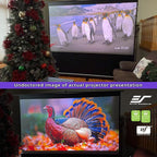 Elite Screens ezCinema Tab-Tension CineGrey 4D, 116-inch 16:9, Manual Floor Pull Up ISF Ceiling Ambient Light Rejecting, Portable Home Office Classroom Projector Screen with Carrying Bag, FT116UH-C4D