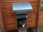 Automatic Chicken Coop Door, ADOR1 Made in USA